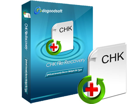 file chk recovery
